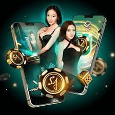 spinwiz bet
